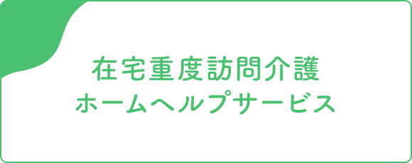 在宅重度訪問介護